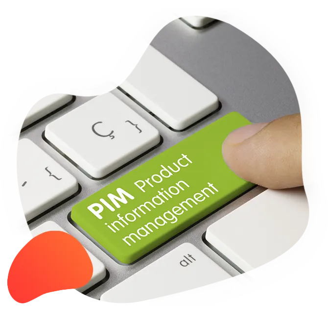 Implementing an MIP Implementing an MIP